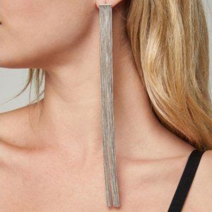 Long Fringe Earrings in Silver